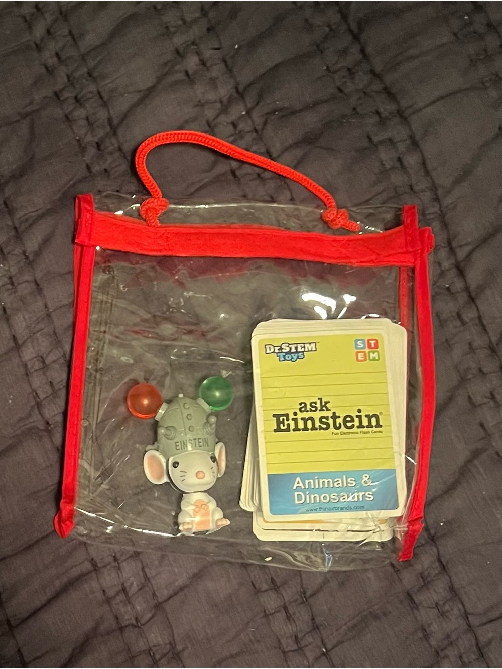 STEM Ask Einstein Learning Game